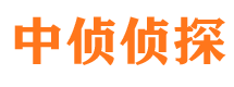 河口区市侦探